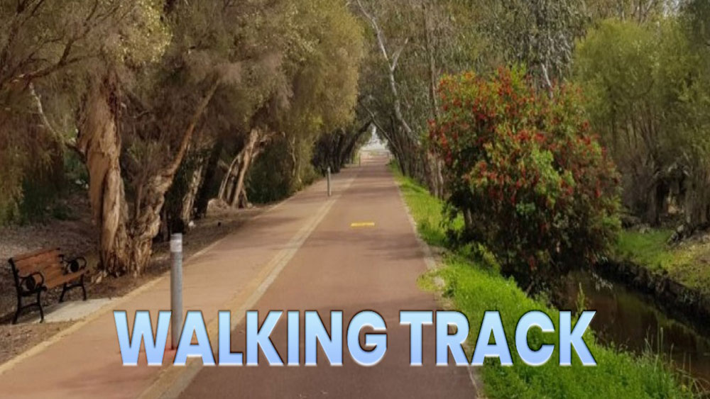 Walking-Track-New